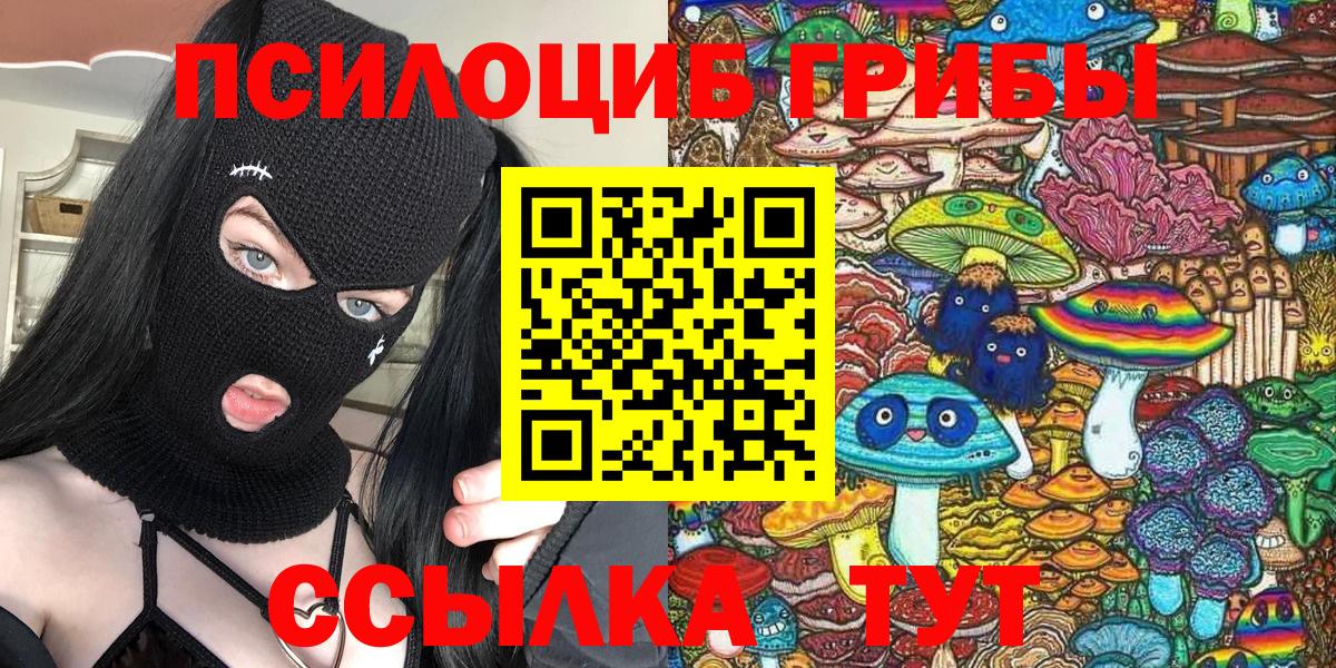 Галлюциногенные грибы Cubensis Удомля