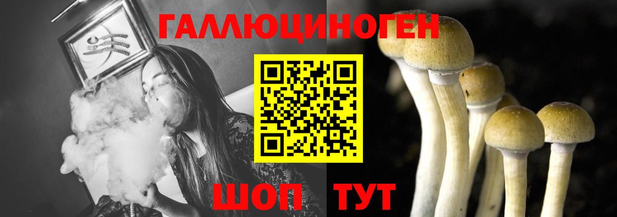 купить наркоту  Псилоцибиновые грибы Psilocybe  Вход с VPN  Удомля 